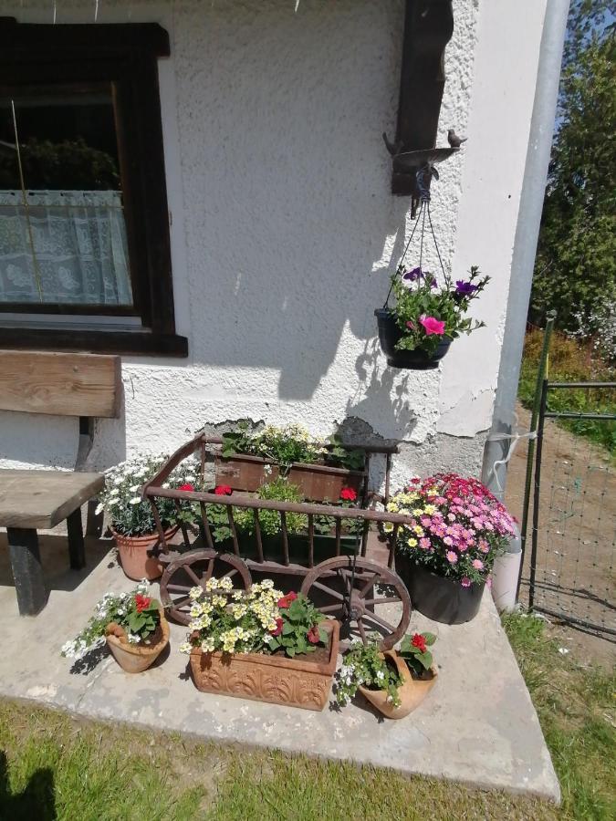 Ferienwohnung Riedbach Инсбрук Экстерьер фото
